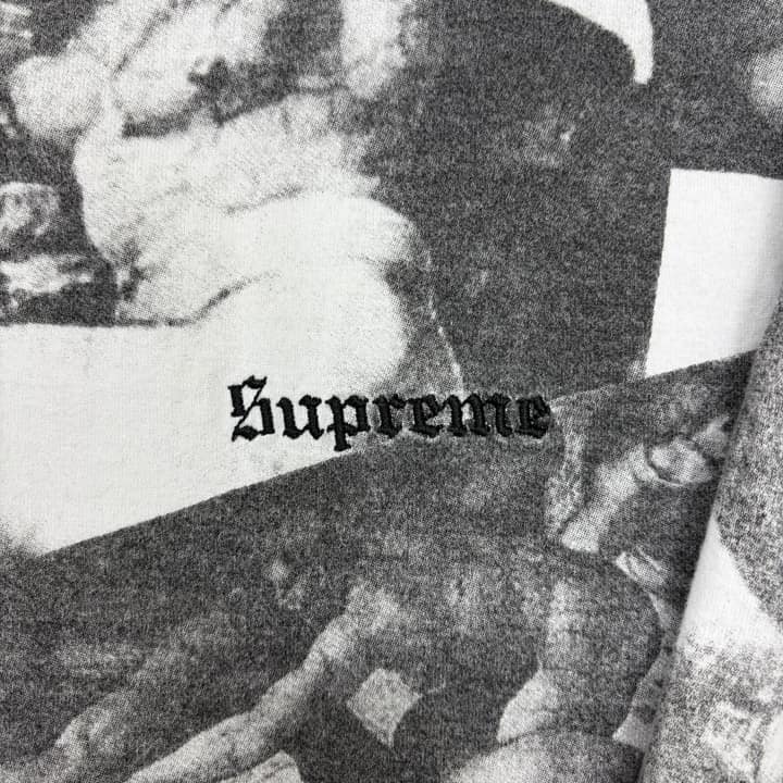 SUPREME Michelangelo Full Print Long Sleeve Shirt
