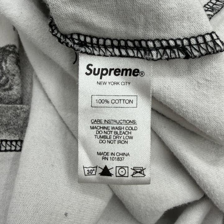SUPREME Michelangelo Full Print Long Sleeve Shirt