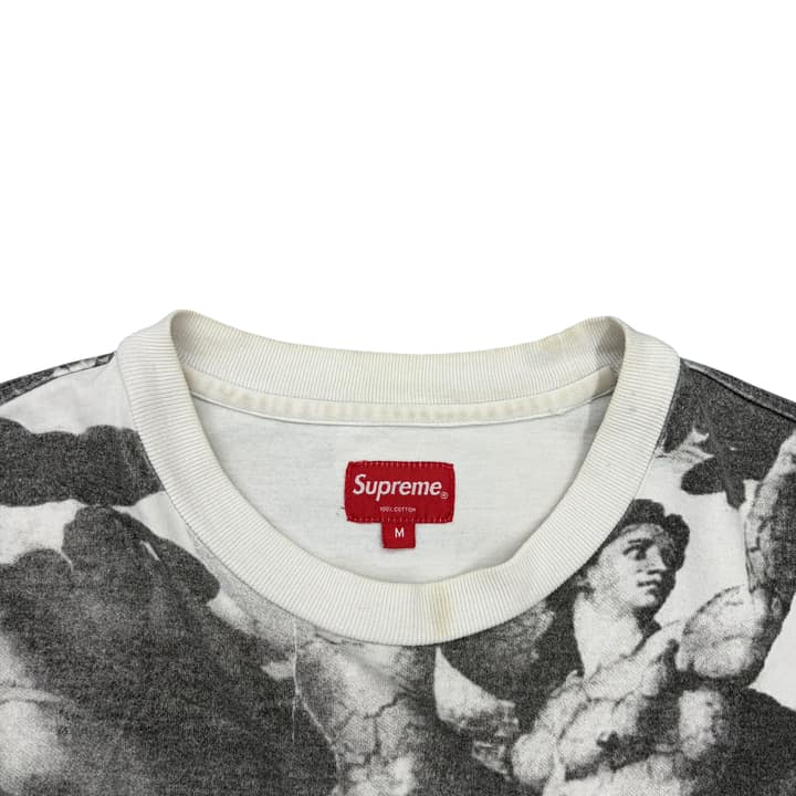 SUPREME Michelangelo Full Print Long Sleeve Shirt