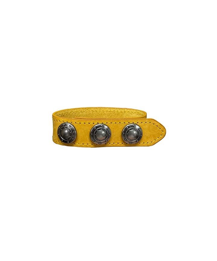  PASSENGER BRACELET - BR