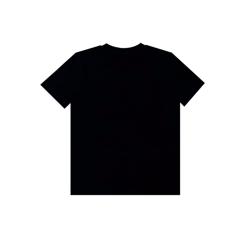 DRAGON BADGE TEE